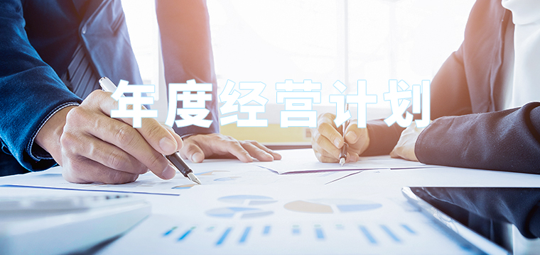 年度經(jīng)營計劃咨詢